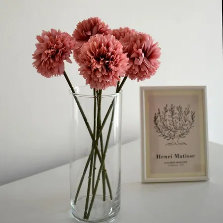 La Dolce - Con Parcheggio Privato Vicino Al Centro E All'ospedale Asti